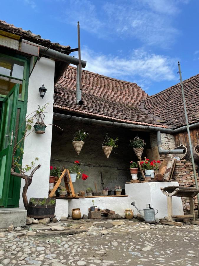 Saschiz 175 Guesthouse Zewnętrze zdjęcie