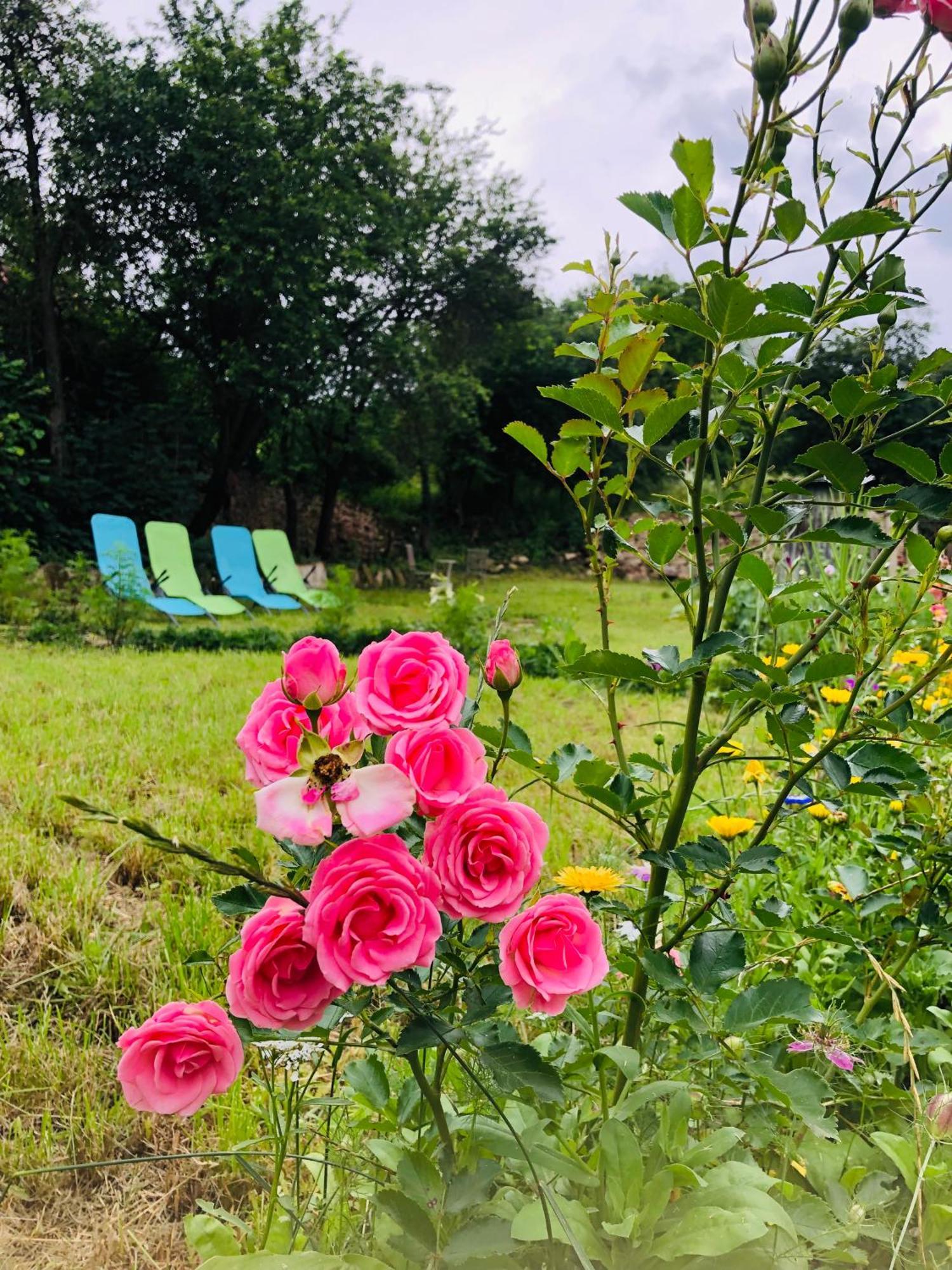 Saschiz 175 Guesthouse Zewnętrze zdjęcie