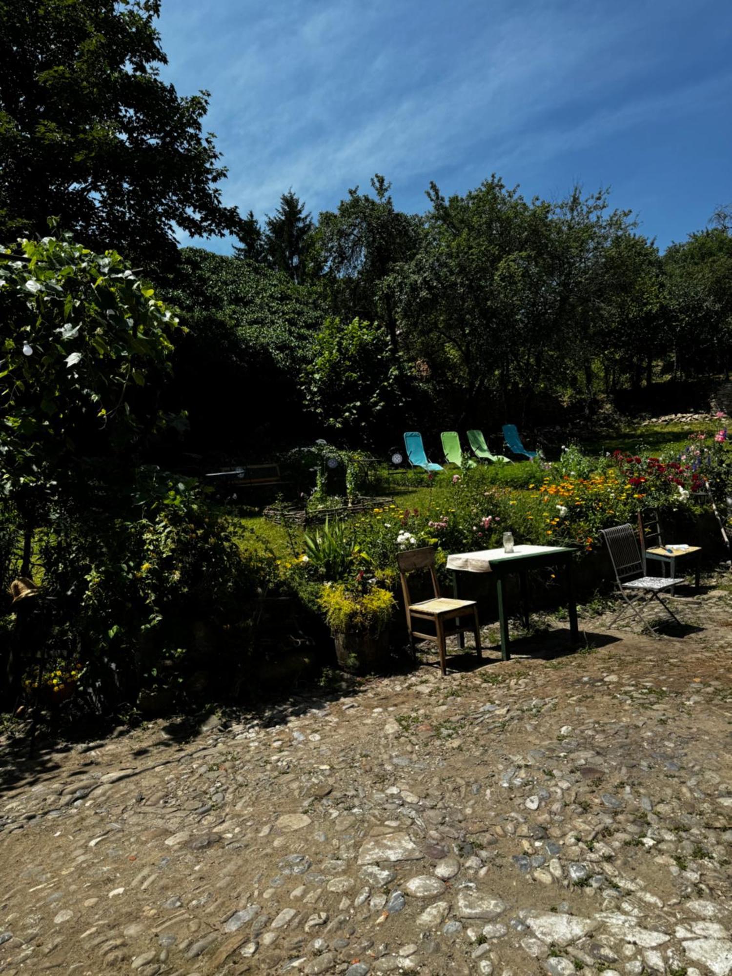 Saschiz 175 Guesthouse Zewnętrze zdjęcie