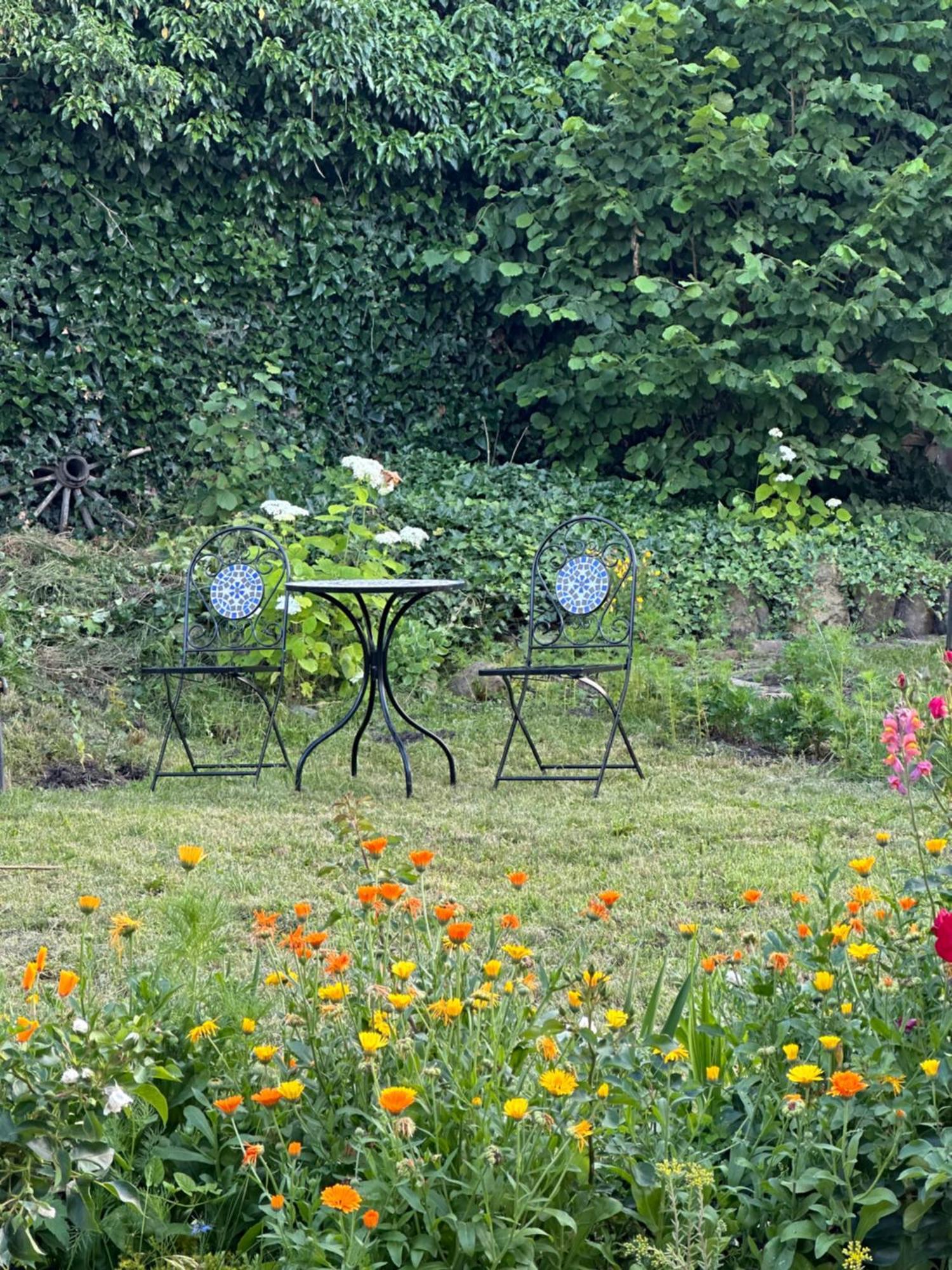 Saschiz 175 Guesthouse Zewnętrze zdjęcie