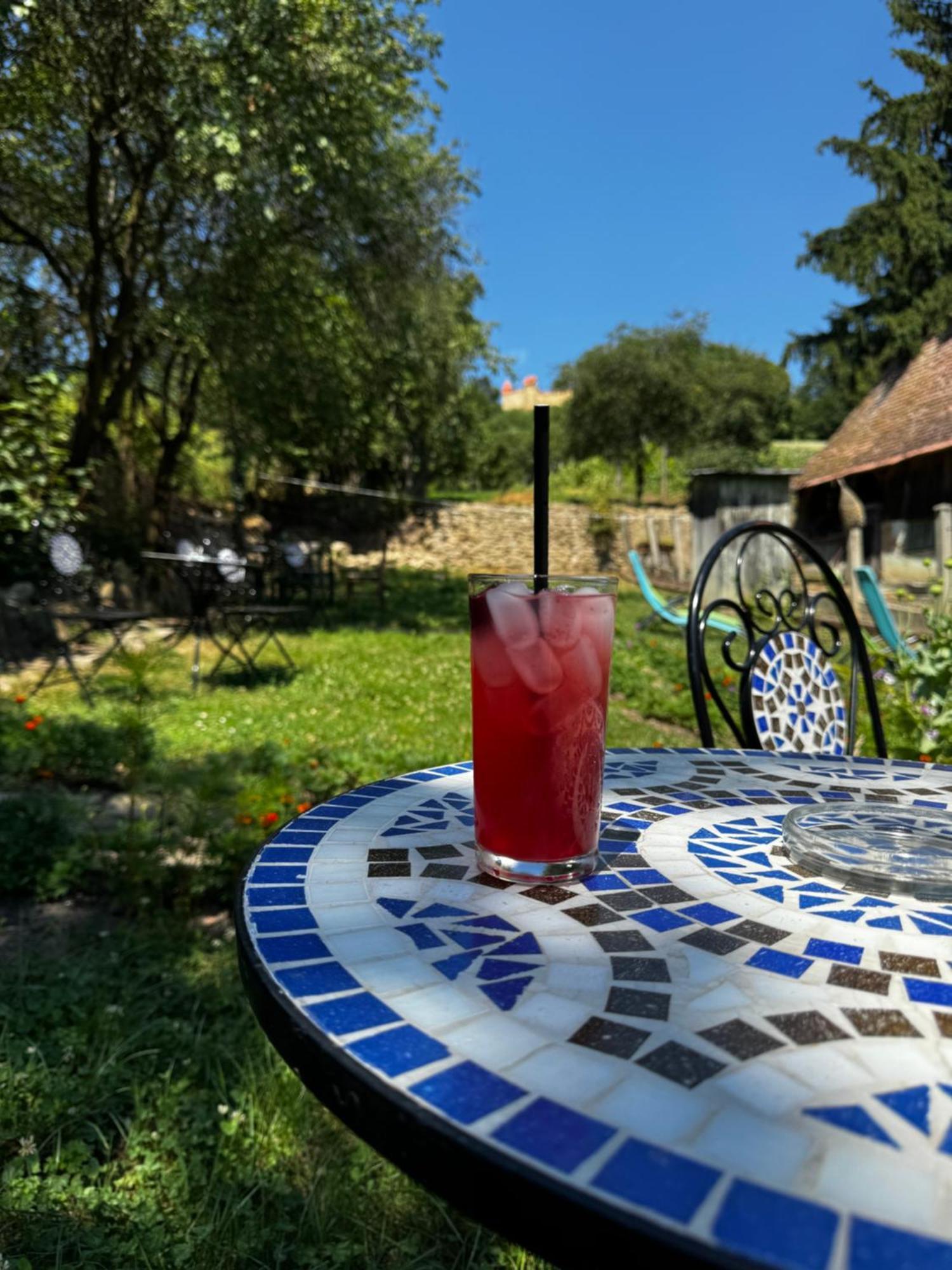 Saschiz 175 Guesthouse Zewnętrze zdjęcie
