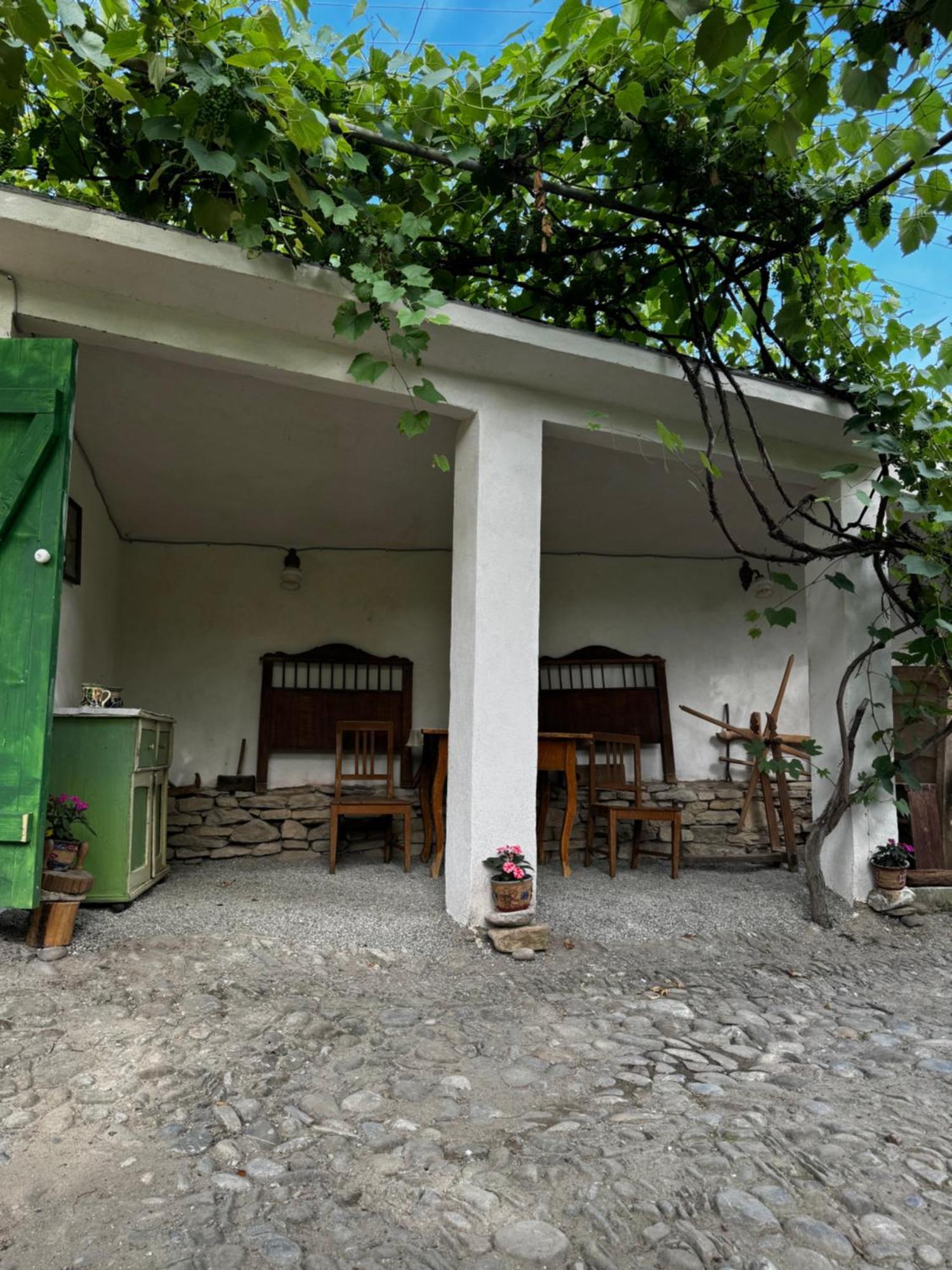 Saschiz 175 Guesthouse Zewnętrze zdjęcie