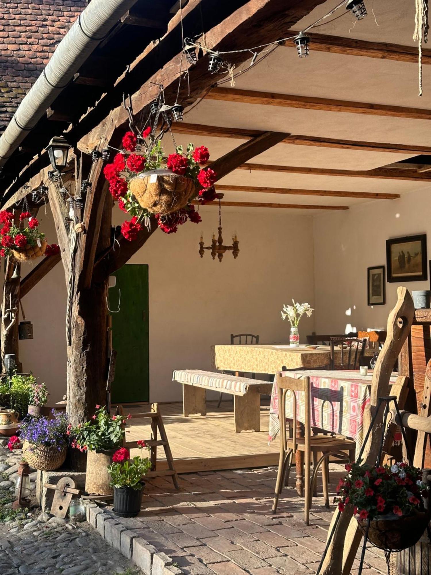 Saschiz 175 Guesthouse Zewnętrze zdjęcie