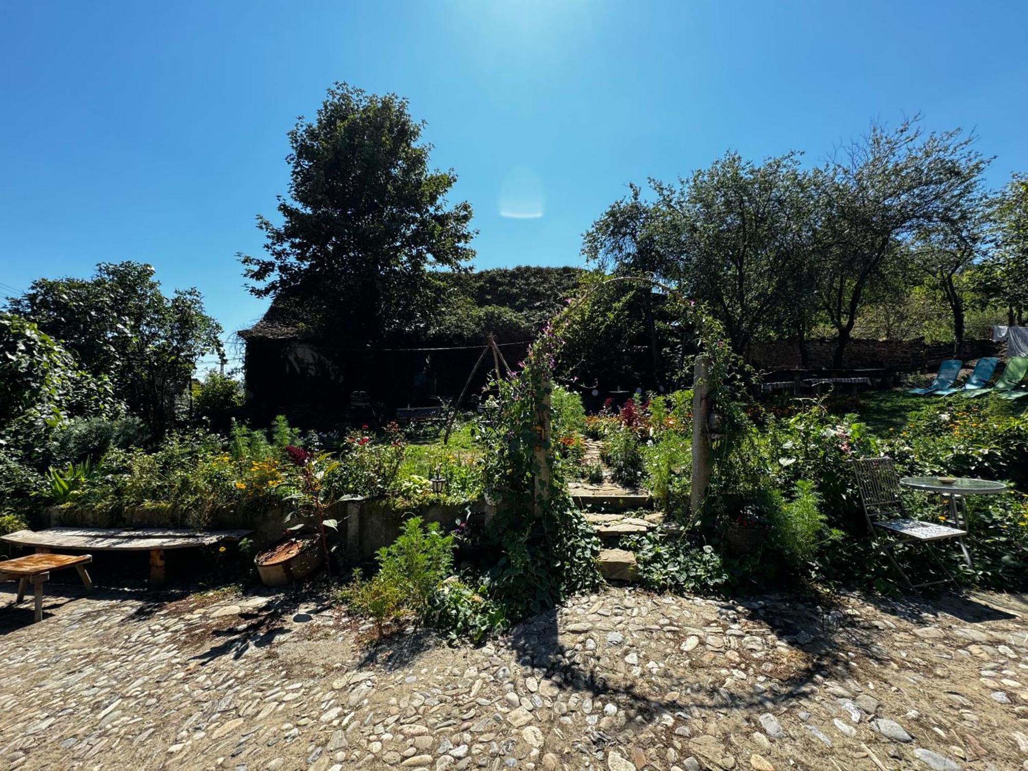 Saschiz 175 Guesthouse Zewnętrze zdjęcie