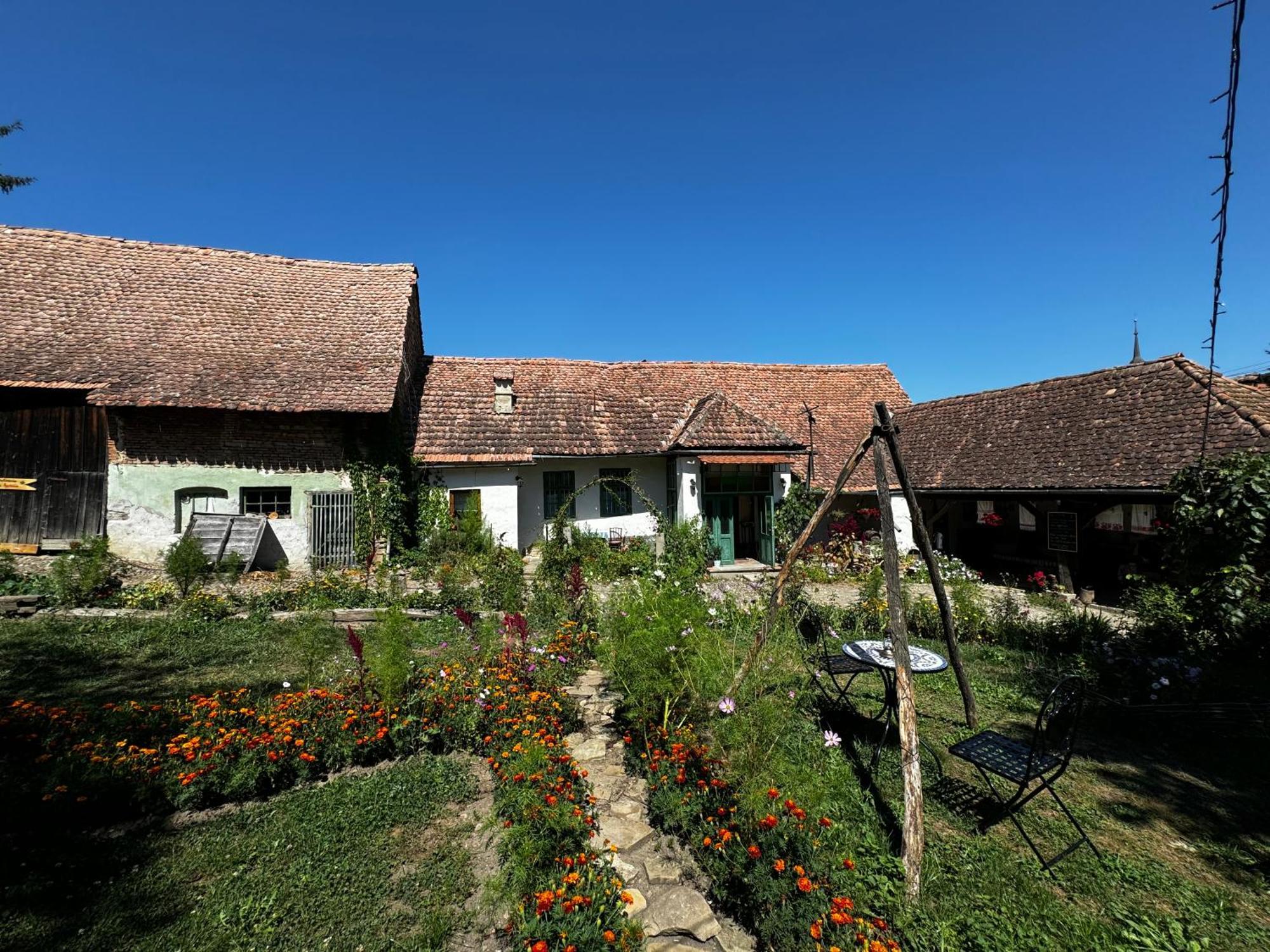 Saschiz 175 Guesthouse Zewnętrze zdjęcie